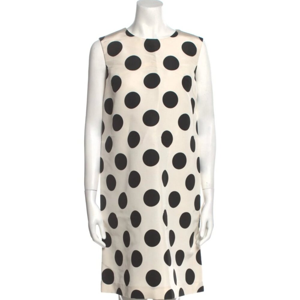 Polka Dot Carolina Herrera Dress